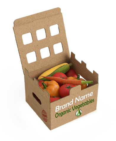 Fresh organic vegetables in a basket