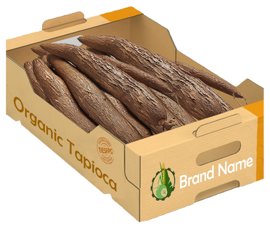 Harvested organic bananas