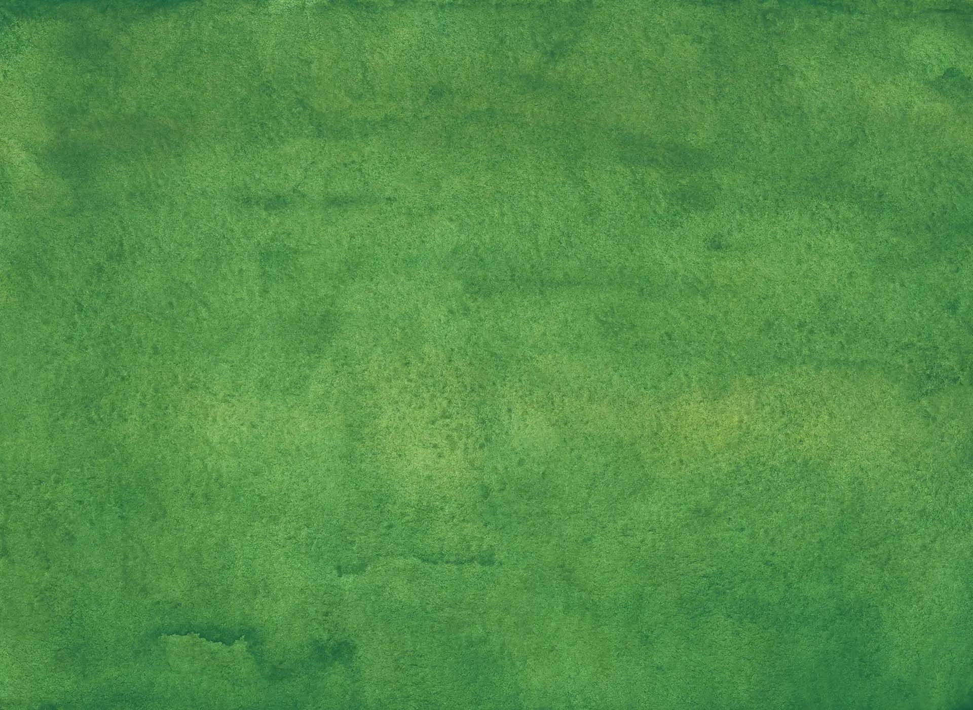 Lush green farm field